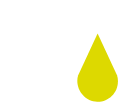 HALF PRICE OIL CHANGES